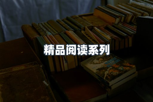精品阅读系列